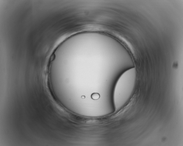 X0000103251467200808281045