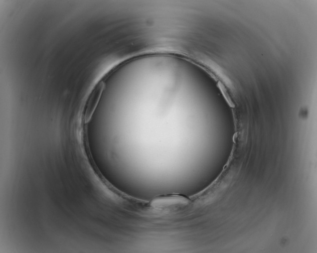 X0000103251468200808281045