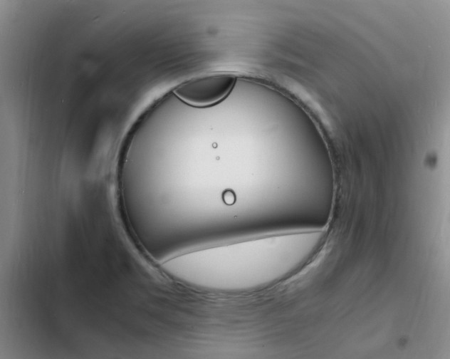 X0000103251469200808281045