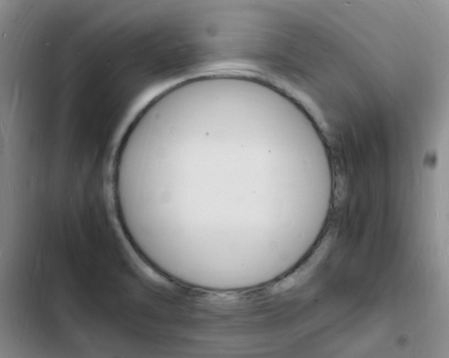 X0000103251470200808281045