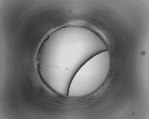 X0000103251471200808281045