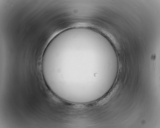 X0000103251473200808281045