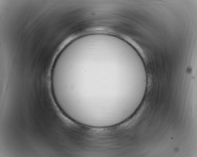 X0000103251474200808281045
