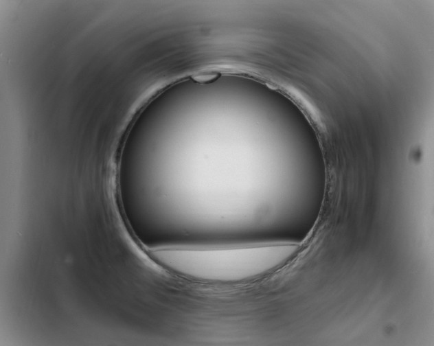 X0000103251476200808281045