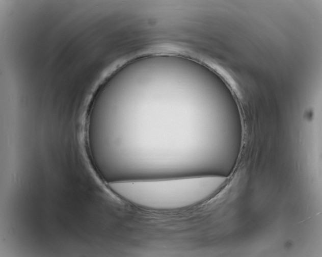 X0000103251477200808281045