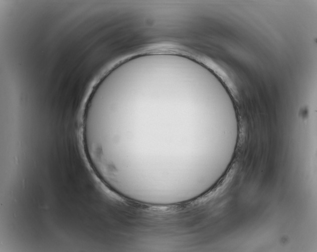 X0000103251478200808281045