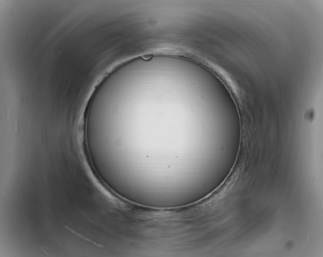 X0000103251479200808281045