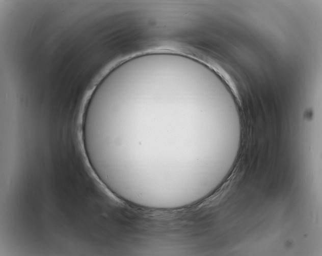 X0000103251480200808281045