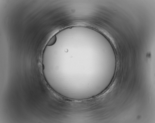 X0000103251481200808281045