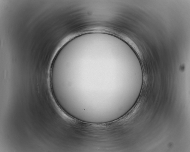 X0000103251482200808281045