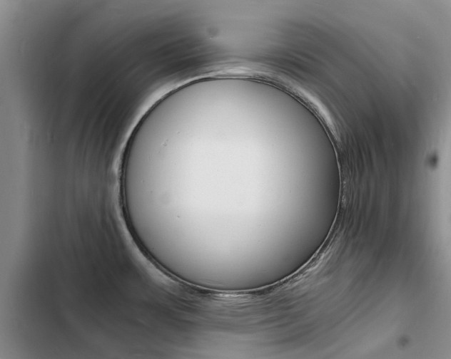 X0000103251483200808281045
