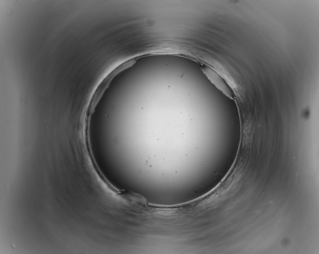 X0000103251484200808281045