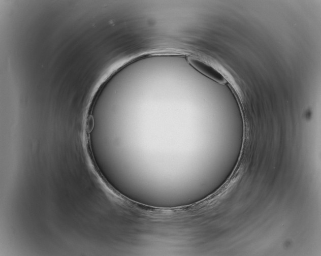 X0000103251485200808281045