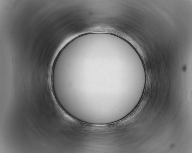 X0000103251486200808281045