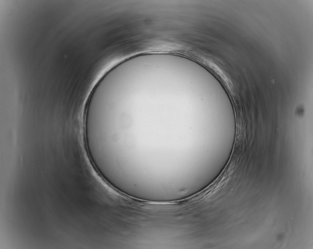 X0000103251487200808281045