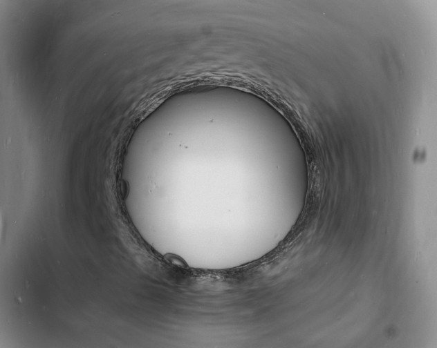 X0000103251489200808281044
