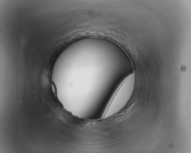 X0000103251490200808281044