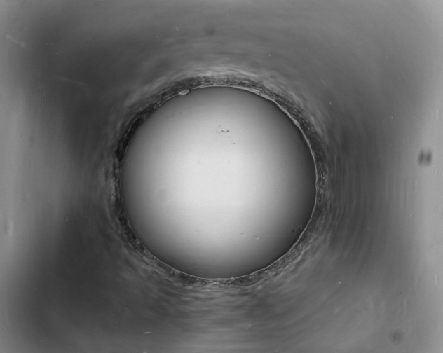 X0000103251493200808281044