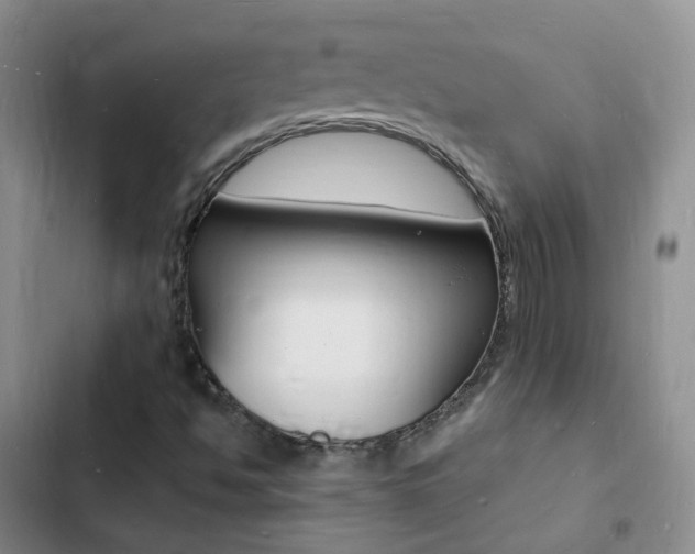 X0000103251494200808281044