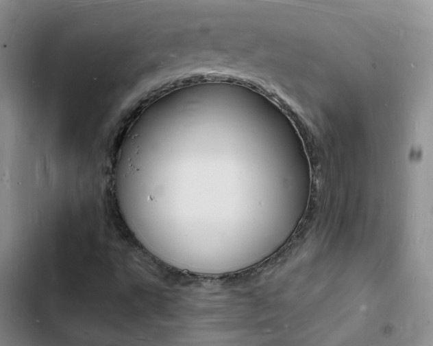 X0000103251495200808281044