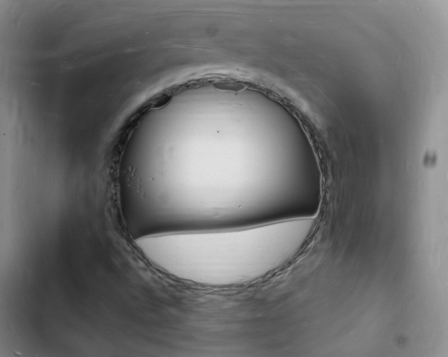 X0000103251496200808281044