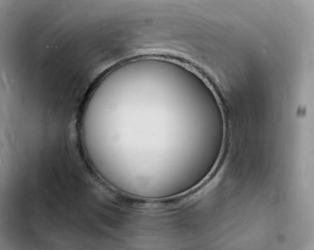 X0000103251497200808281044