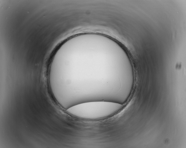 X0000103251498200808281044