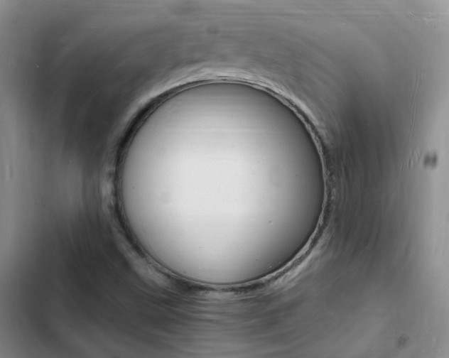X0000103251499200808281044