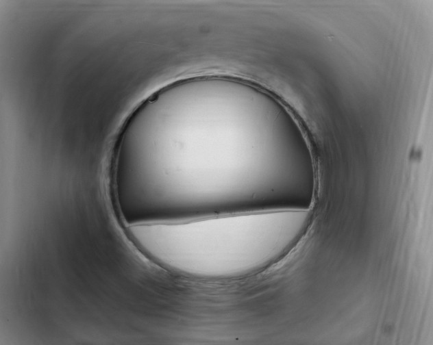 X0000103251500200808281044