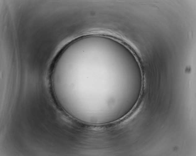 X0000103251501200808281044