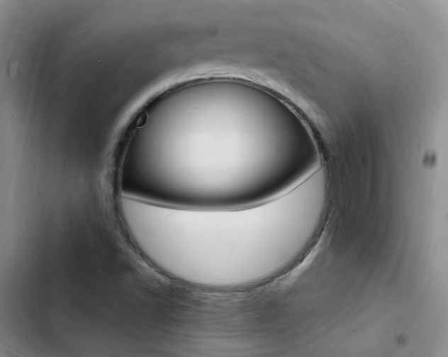 X0000103251502200808281044
