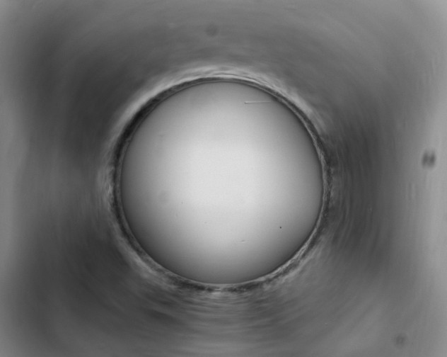 X0000103251503200808281044