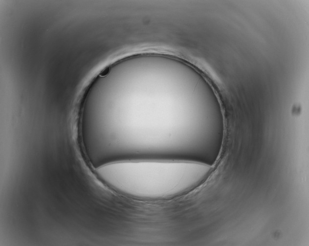 X0000103251504200808281044