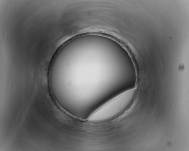 X0000103251505200808281044