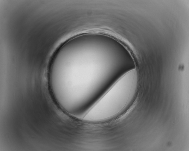 X0000103251506200808281044