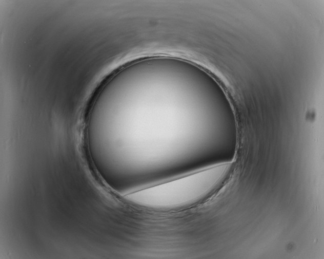 X0000103251507200808281044