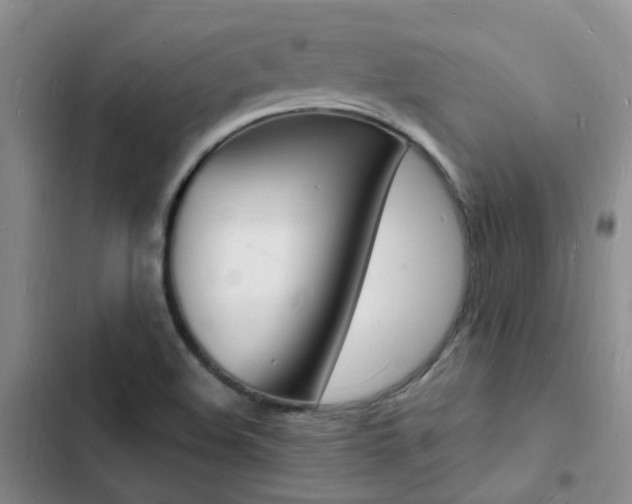 X0000103251508200808281044