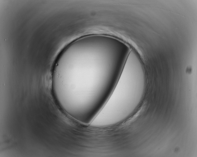X0000103251509200808281044