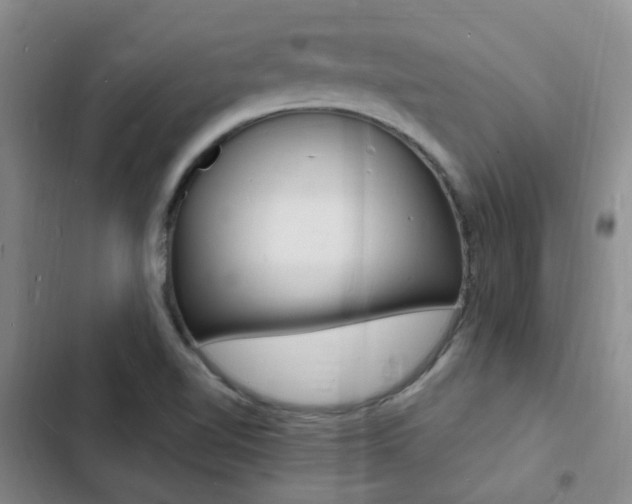 X0000103251510200808281044