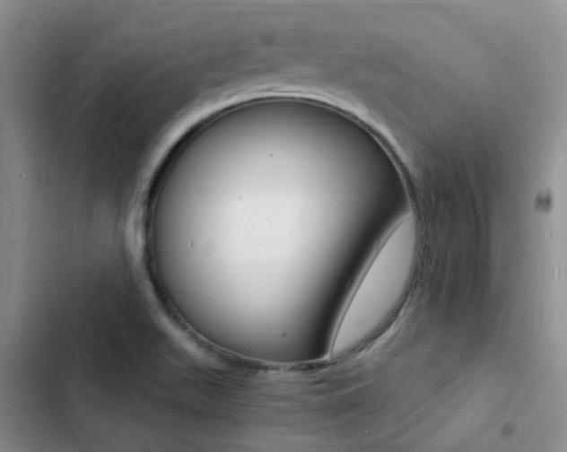 X0000103251511200808281044