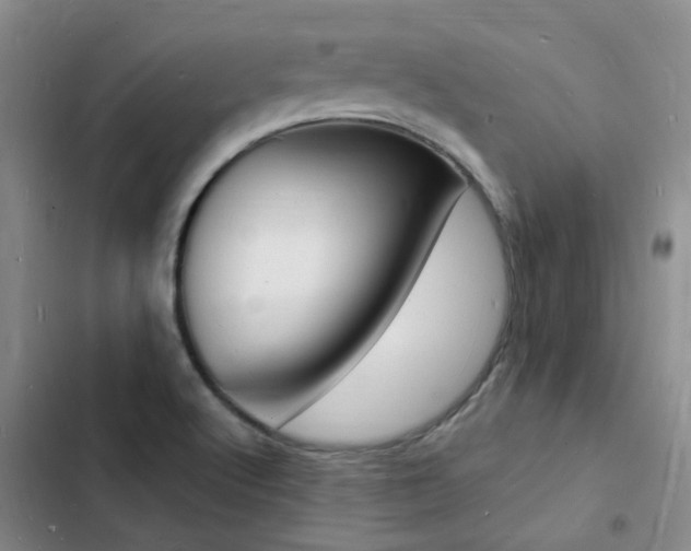 X0000103251512200808281044