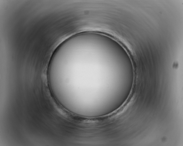 X0000103251513200808281044