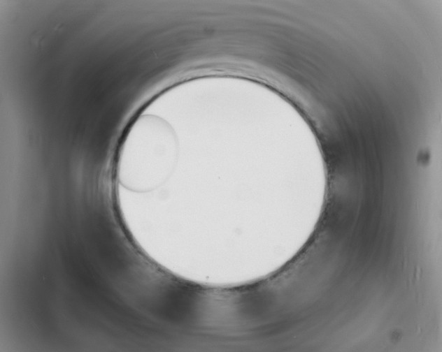 X0000103251514200808281044