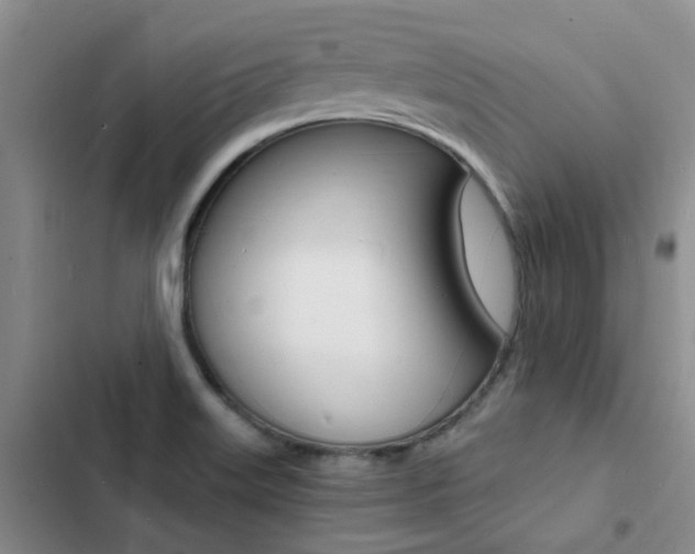 X0000103251515200808281044