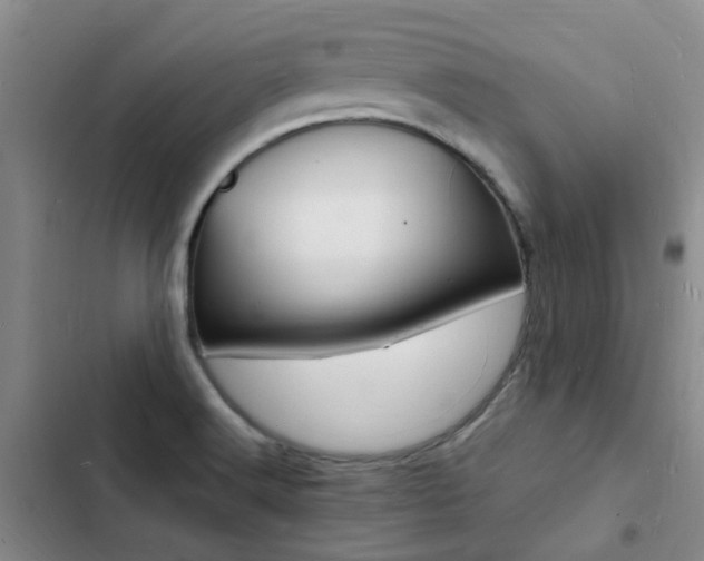 X0000103251516200808281044