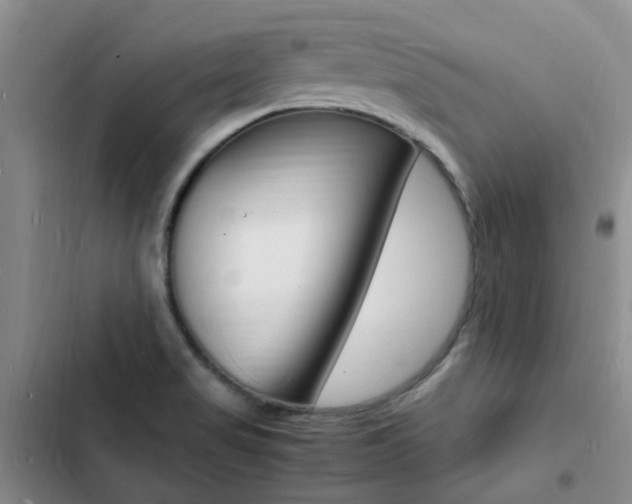 X0000103251517200808281044