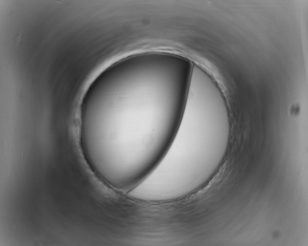 X0000103251520200808281045