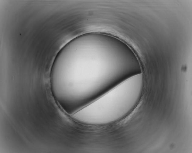 X0000103251521200808281045