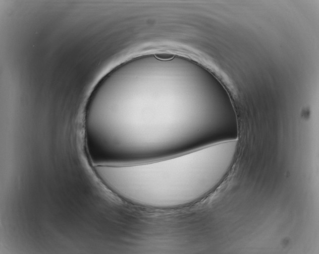 X0000103251522200808281045