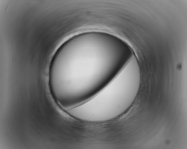 X0000103251523200808281045